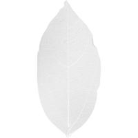 https://www.cchobby.nl/skeleton-leaves-l-6-8-cm-wit-20-stuk-1-doos