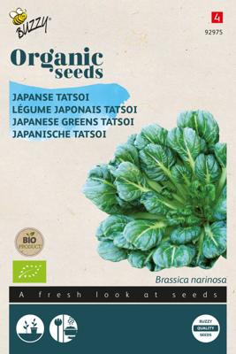 Organic Tatsoi (BIO) - Buzzy