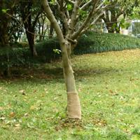 VidaXL Jute rol 200 g/m² 0,25x100 m 100% jute