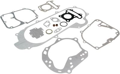 101 OCTANE Seal set cpl. import china engine 139qma/qmb