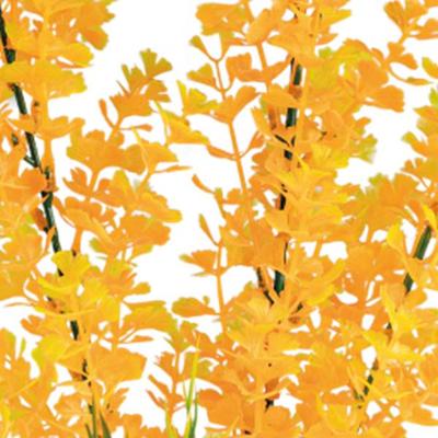 Sf art plant 40 cm ludwigia orange - Superfish