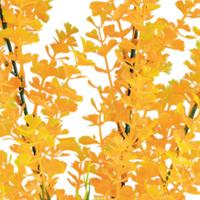 Sf art plant 40 cm ludwigia orange - Superfish