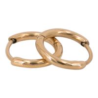 Kalli Oorringen Rond Smal Goud 0.9 cm | 1893