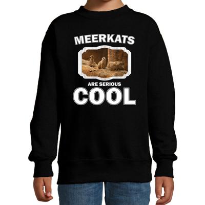 Dieren stokstaartje sweater - zwart - kinderen - meerkats are cool trui Dieren stokstaartje sweater - zwart - kinderen - meerkats are cool trui