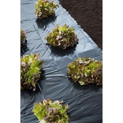 Zwarte mulchfolie voor alle gewassen - 1,40x10m
