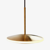 Graypants Dish10h Hanglamp - Messing