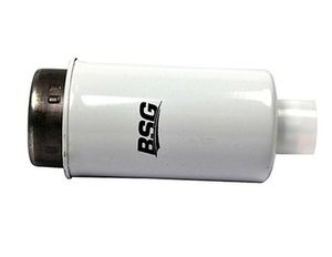 Brandstoffilter BSG30130010