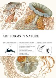Art Forms in Nature (Paperback)