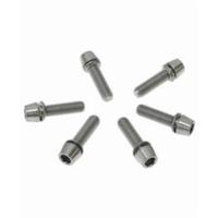 Ritchey - stuurpen wcs 4-axis vervangingsbouten titanium 6 stuks