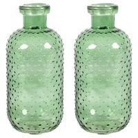 Bloemenvaas Cactus Dots - 2x - groen transparant - glas - D11 x H24 cm