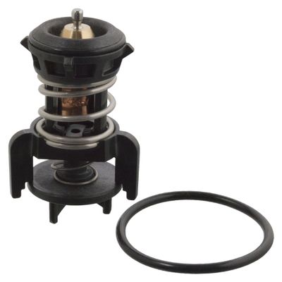 thermostaat 106524