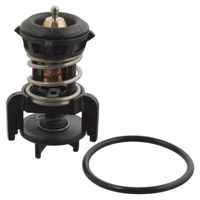 thermostaat 106524