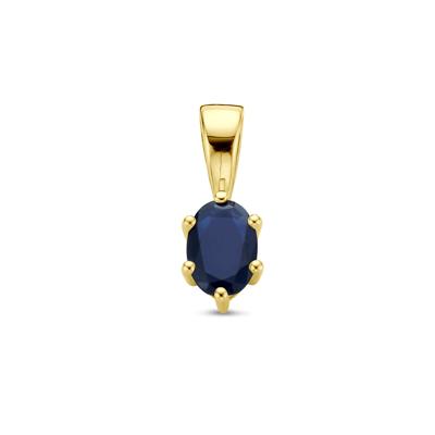 14K Geelgouden Hanger met September Geboortesteen - 13x4,5mm