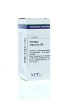 VSM Solidago virgaurea D30 (10 gr) - thumbnail