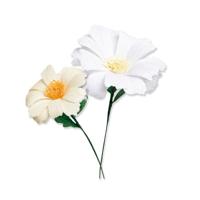 Sizzix • thinlits die set daisy flower mix 8stuks