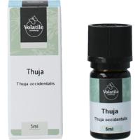 Volatile Thuja