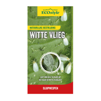 Sluipwesp tegen de larven van de witte vlieg ECOstyle - Ecostyle natuurlijke vijanden
