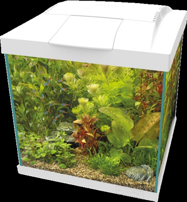 Superfish Start Qube 30 kit wit