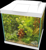 Superfish Start Qube 30 kit wit