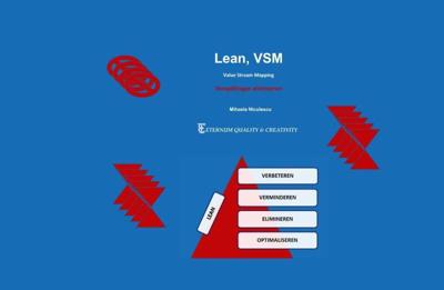 Lean Manufacturing, VSM (Paperback)