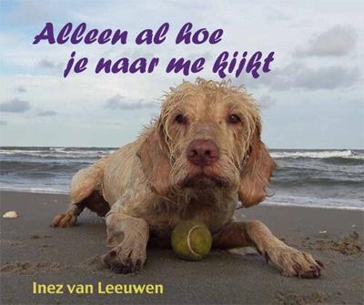 Alleen al hoe je naar me kijkt (Hardback)