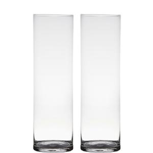 Vaas - Set van 2x stuks - transparant - H50 x D15 cm - glas - cilinder vorm - vazen - bloemenvaas