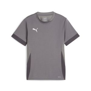 PUMA teamGOAL Matchday Voetbalshirt Kids Grijs Wit