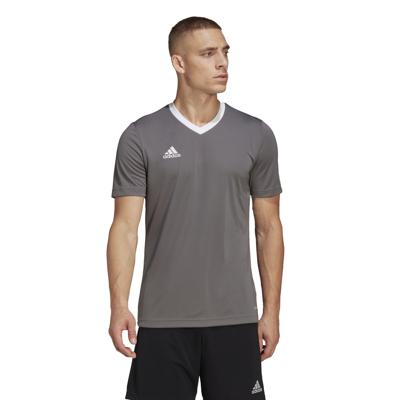 adidas Entrada 22 Voetbalshirt Grijs Wit