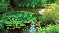 Vijver 70x130cm Tuinschilderij - Customize it