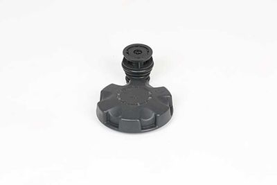 Radiateurdop BSG15551004