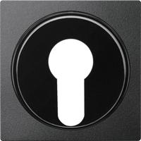 Merten 318114 Afdekking System M Antraciet 1 stuk(s)