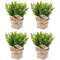 Emerald Kunstplant - 4x - Muizendoorn Kruidenplant - Groen - In Jute Pot - 20 cm Emerald Kunstplant - 4x - Muizendoorn Kruidenplant - Groen - In Jute Pot - 20 cm