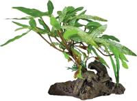 Plant on deco three tip leaf Repto - Repto