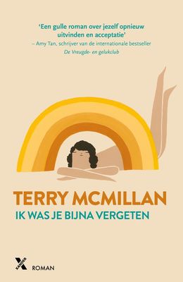 Ik was je bijna vergeten - Terry McMillan - ebook