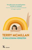 Ik was je bijna vergeten - Terry McMillan - ebook