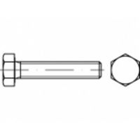 TOOLCRAFT TO-5404671 Zeskantbout M16 45 mm Buitenzeskant Staal Galvanisch verzinkt 50 stuk(s) - thumbnail
