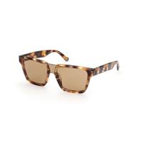 Zonnebril Heren Web Eyewear WE0314-0041F