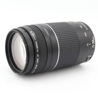 Canon EF 75-300mm f/4-5.6 III occasion