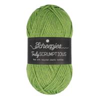 Scheepjes Truly Scrumptious - 326 Matcha Chiffon Cake