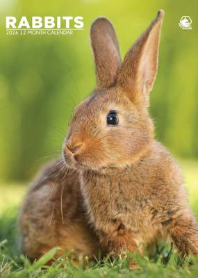 Konijnen A3 Kalender 2026