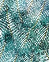 Noordwand Komar Pure Fotobehang Palm Canopy - P025-VD2