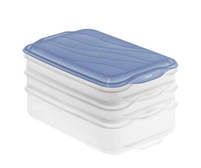 ROTHO Rondo Horizon blue - voedselbewaarbak - 2 x 0,75l, 1 x 1,35l