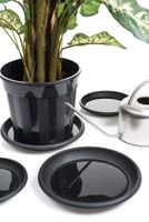 Waterschotel H4x dia. 33cm Nature - Nature