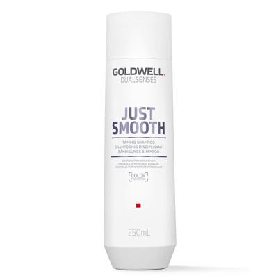 Goldwell Dualsenses Just Smooth Taming Shampoo 250ml | Voor Dik En Weerbarstig Haar