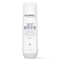 Goldwell Dualsenses Just Smooth Taming Shampoo 250ml | Voor Dik En Weerbarstig Haar