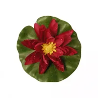 Ubbink Waterlelie 14cm rood