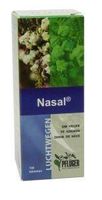 Nasal - thumbnail