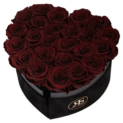 Flowerbox longlife Mary J Flowerbox longlife Mary J