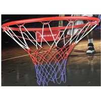Basketbalring met net