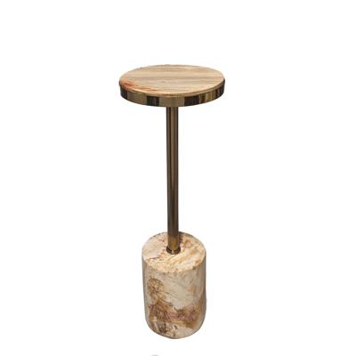 Mody Natuurlijke Versteend Houten Bijzettafel